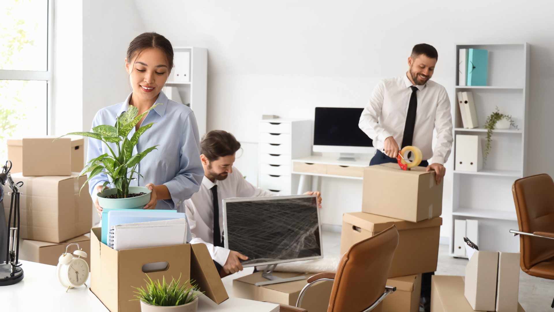 organizing office with staff